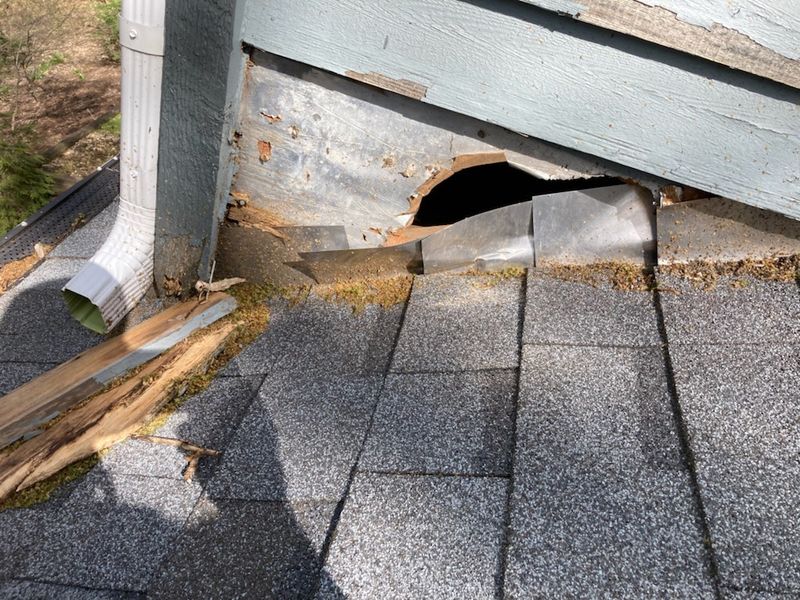 Inspect Shelter Before You Seal An Opening Inspect Shelter Before You Seal An Opening
