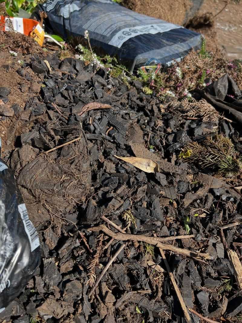 It Does Not Improve The Soil Over Time It Does Not Improve The Soil Over Time
