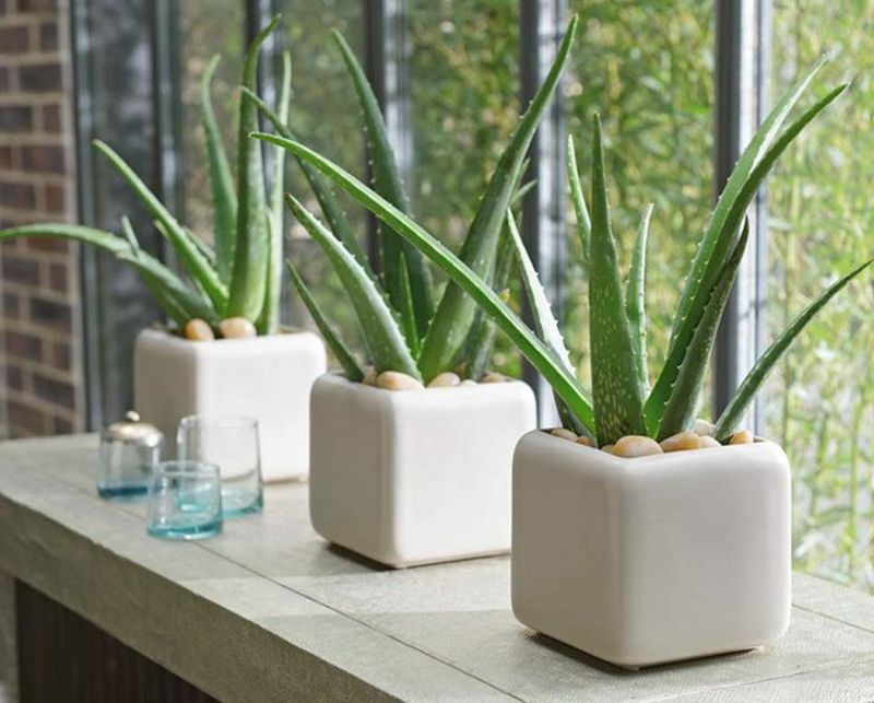 It Helps Create A Clean, Spa-Like Look It Helps Create A Clean, Spa-Like Look