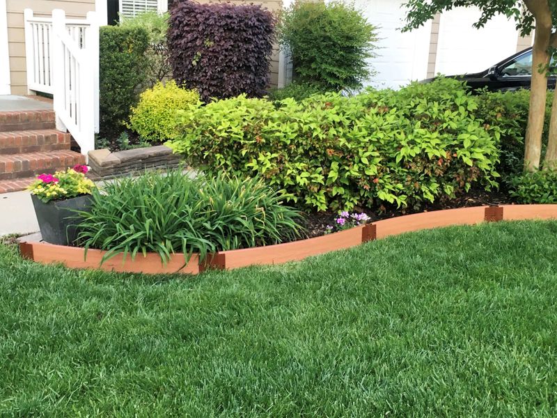It Is The Shaded Edge Where Your Lawn Meets Woods Or Brush It Is The Shaded Edge Where Your Lawn Meets Woods Or Brush