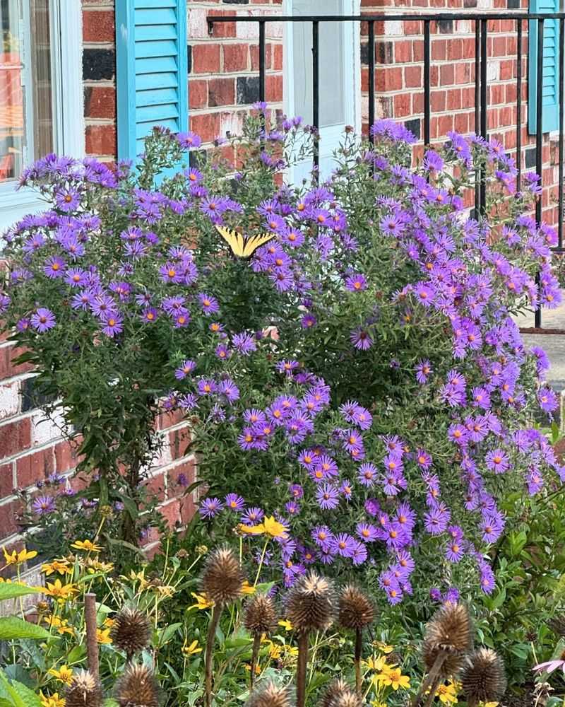 It Looks Best With Room To Grow It Looks Best With Room To Grow