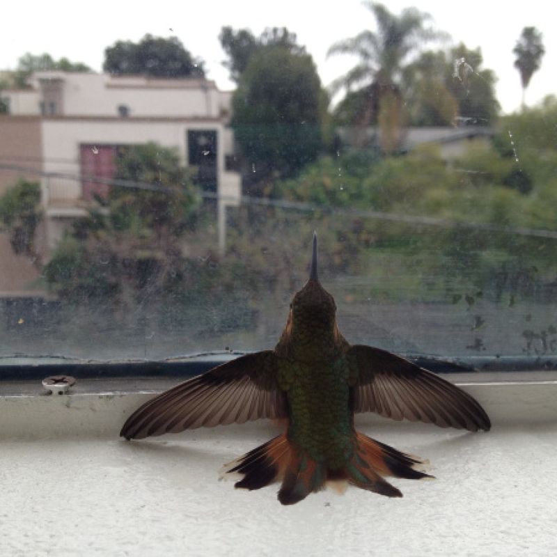 It May Be Challenging Its Reflection