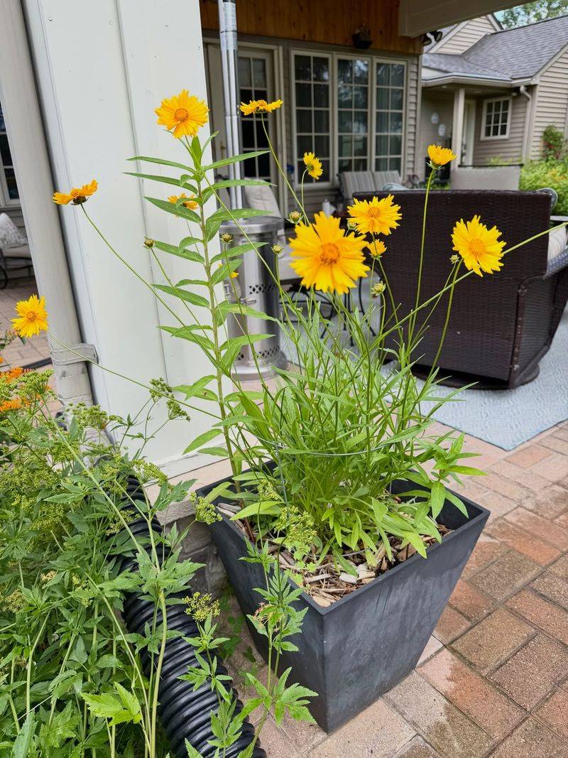 Its Compact Height Fits Smaller Beds Its Compact Height Fits Smaller Beds