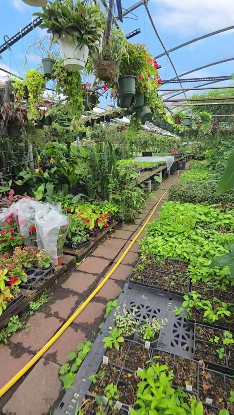 JRN Nursery 2 - Houston
