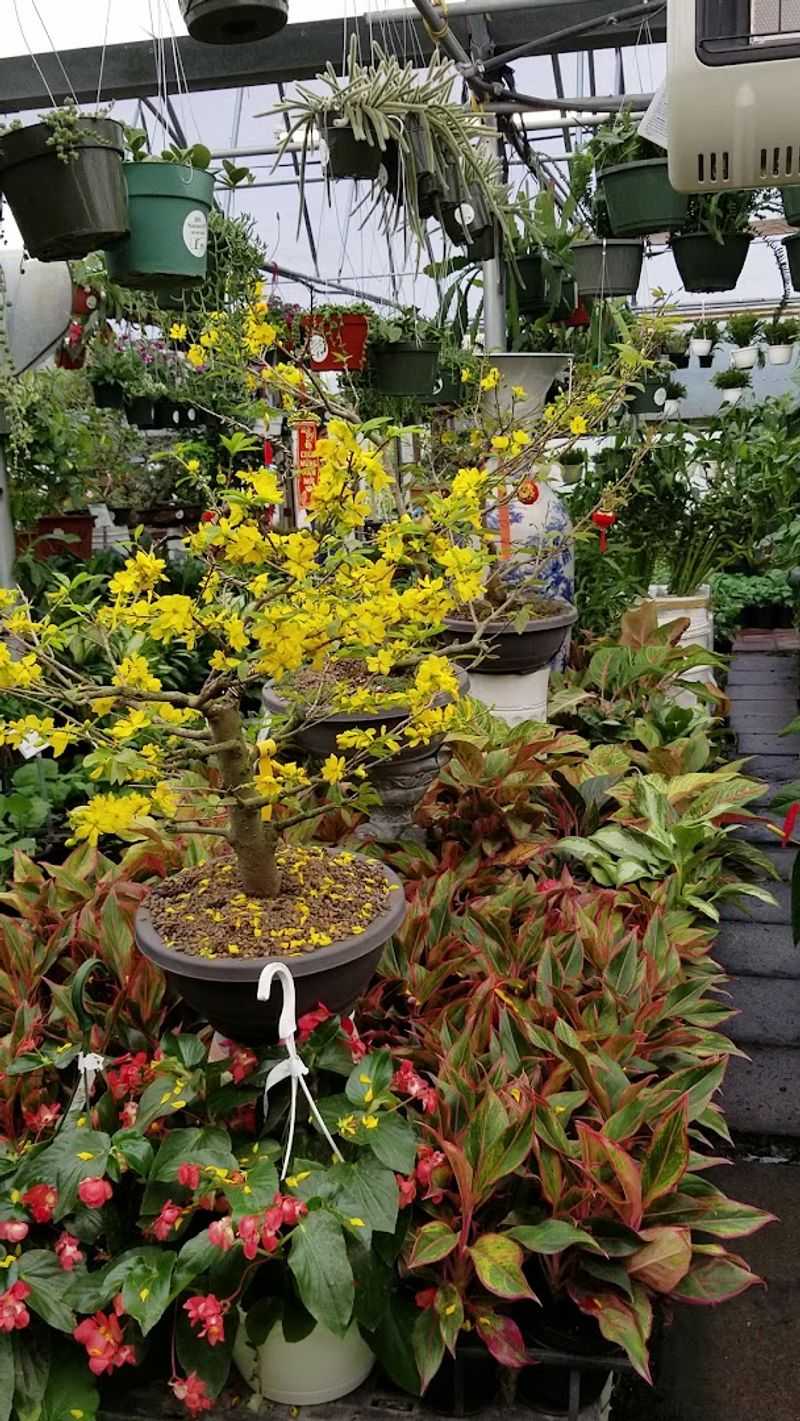 JRN Nursery 2 - Houston