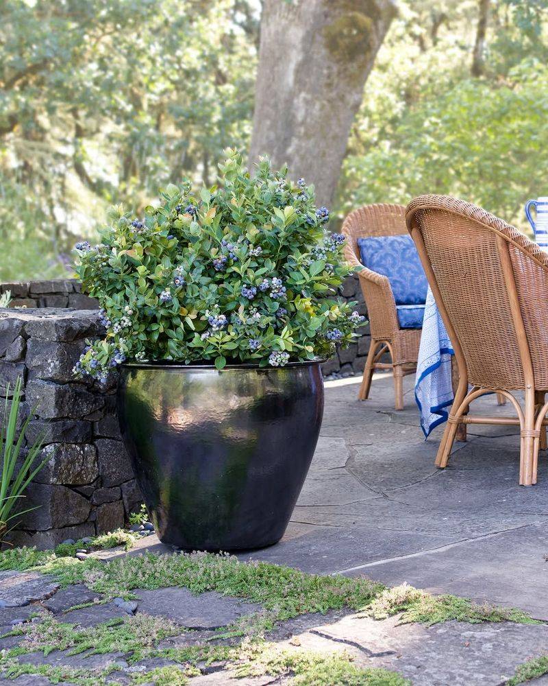 July Is A Better Time To Watch Moisture And Mulch July Is A Better Time To Watch Moisture And Mulch