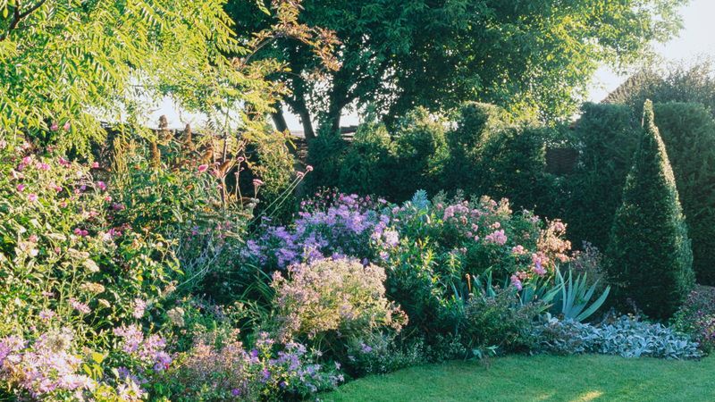 Keep A Brushy Border Instead Of A Bare Fence Line