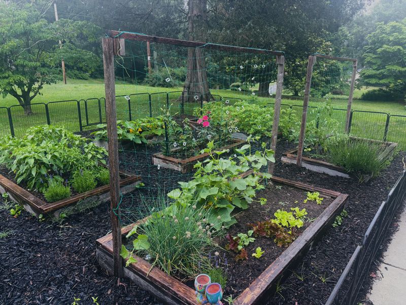 Keep A Simple Garden Notes Routine