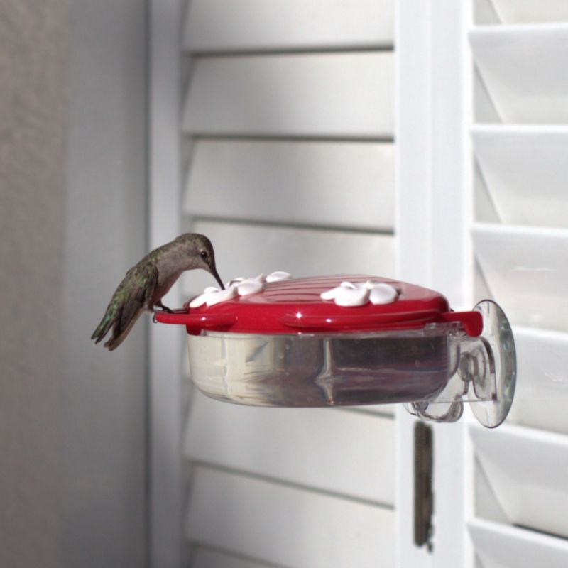 Keep Feeders Away From Reflective Windows Keep Feeders Away From Reflective Windows