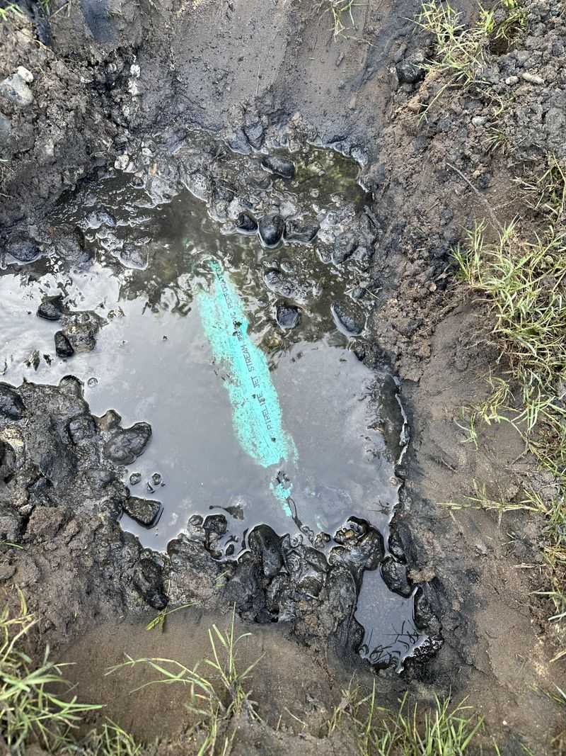Keep Greywater On Your Property