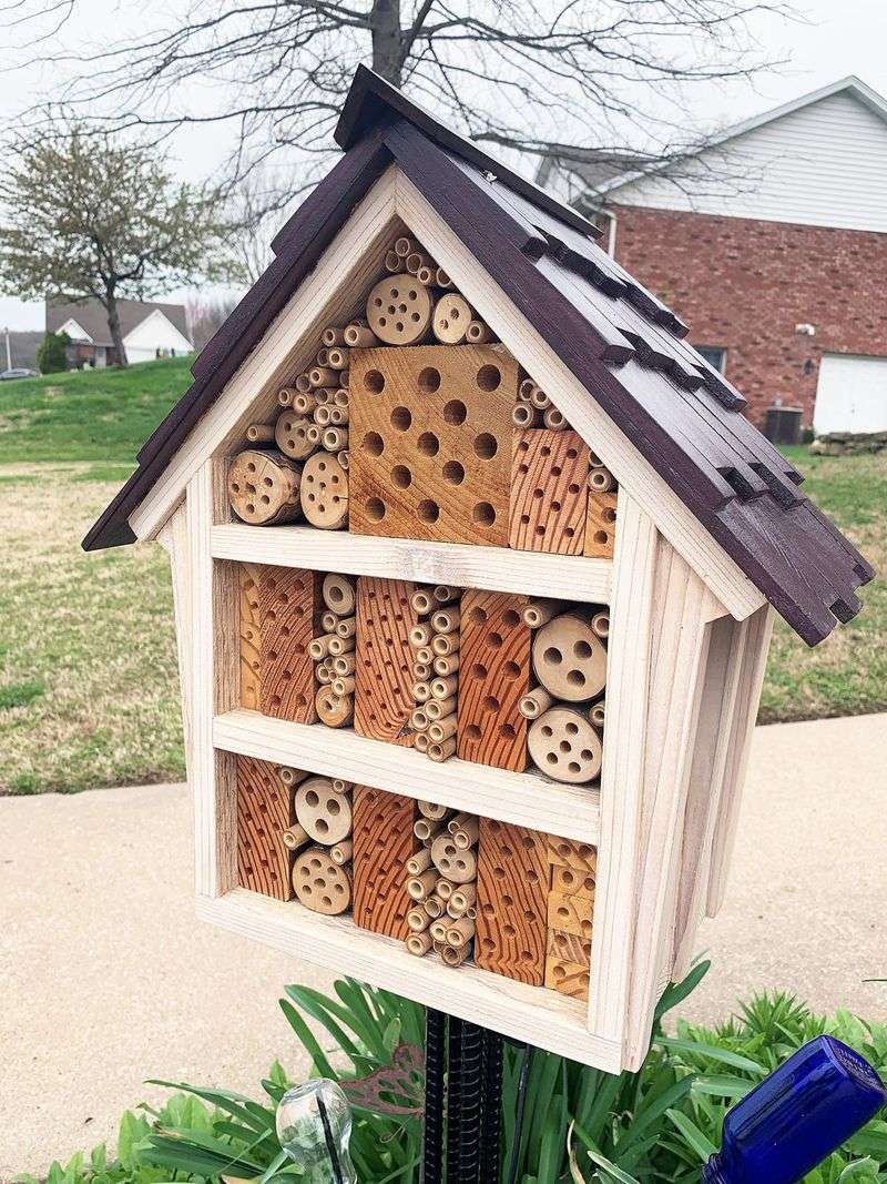 Keep Hollow Stems For Solitary Bee Nests Keep Hollow Stems For Solitary Bee Nests