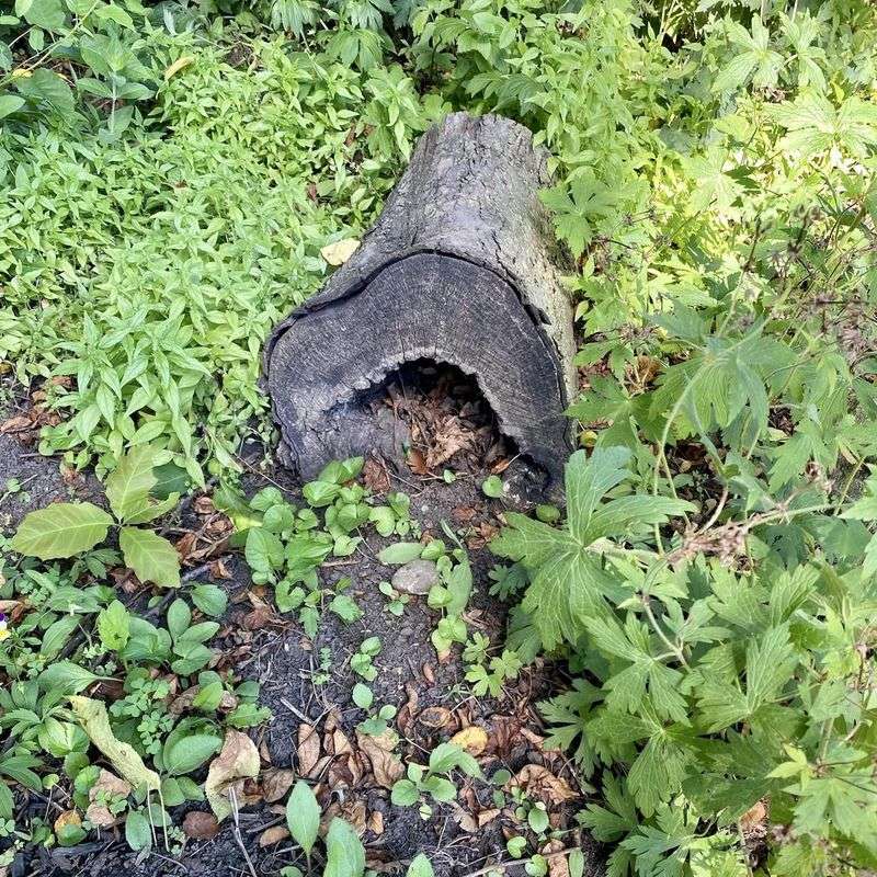 Keep Logs And Bark Nearby