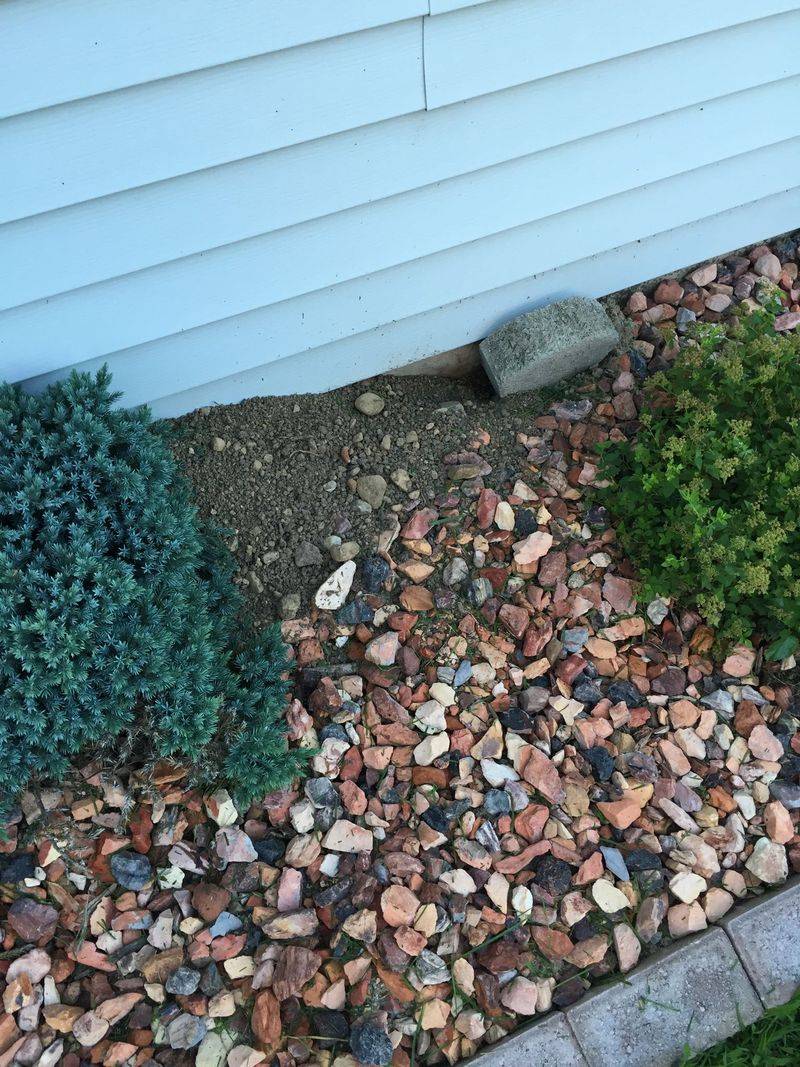 Keep Mulch Away From Foundations And Sheds Keep Mulch Away From Foundations And Sheds