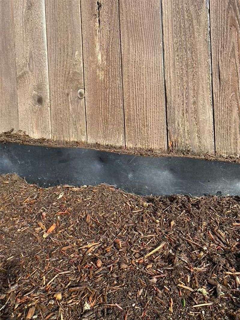 Keep Mulch Deep Enough To Block Light Keep Mulch Deep Enough To Block Light