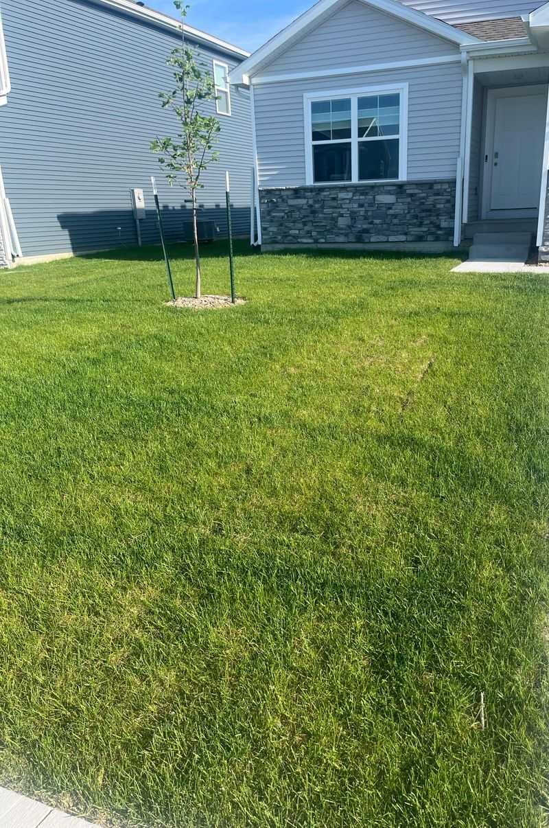 Keep Nutrients Away From Stormwater Keep Nutrients Away From Stormwater