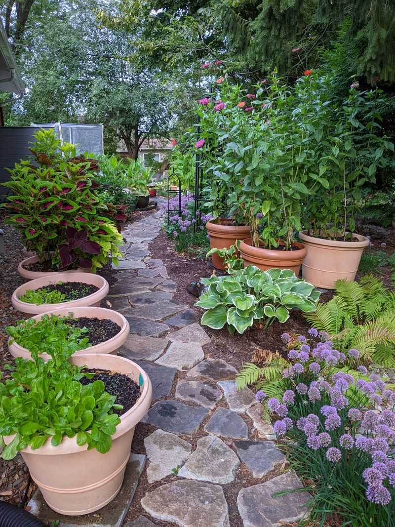 Keep Paths Slightly Higher Than Muddy Low Spots Keep Paths Slightly Higher Than Muddy Low Spots