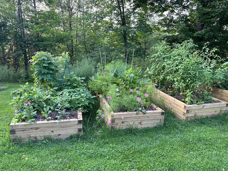 Keep Raised Beds Away From The System Keep Raised Beds Away From The System