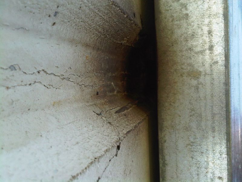 Keep Roosts Away From Living Spaces