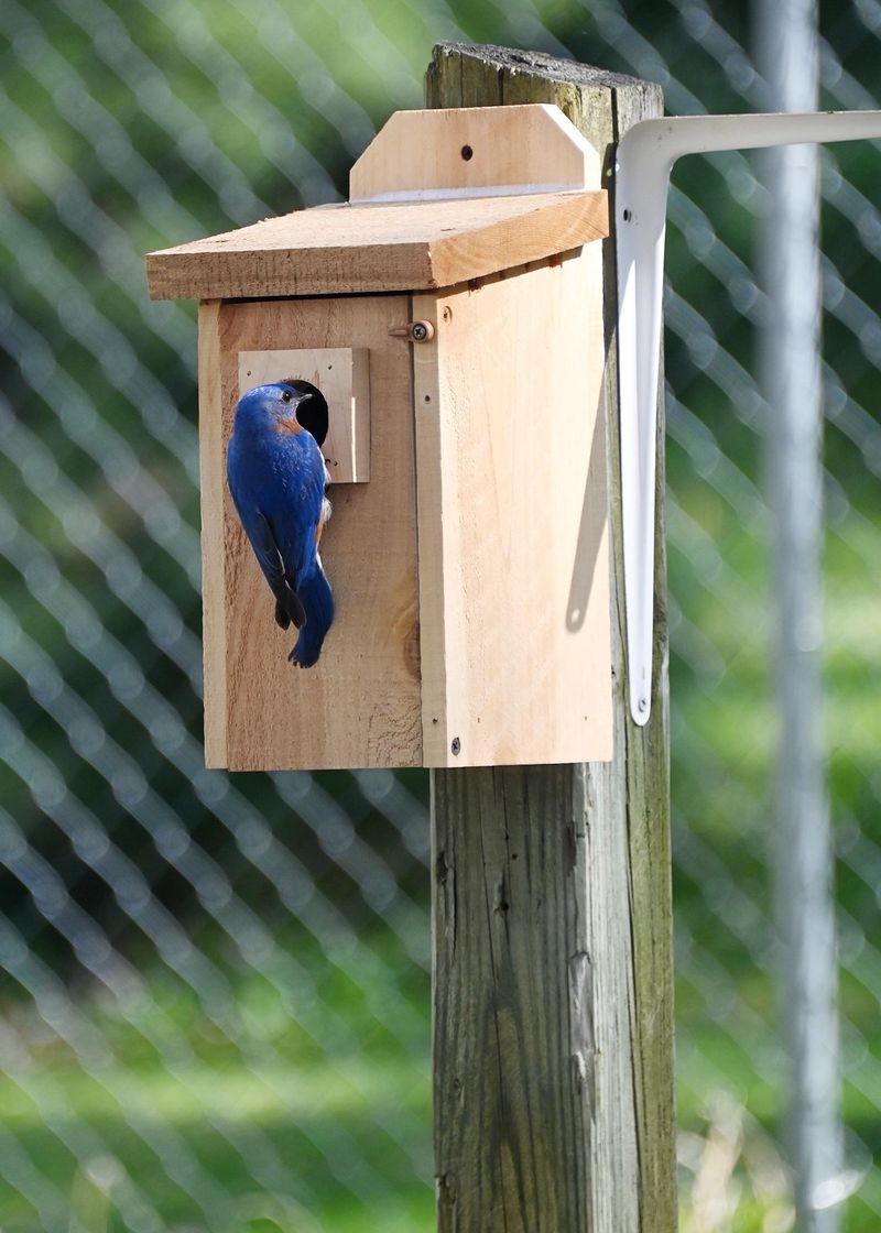 Keep The Box Away From Heavy Foot Traffic Keep The Box Away From Heavy Foot Traffic