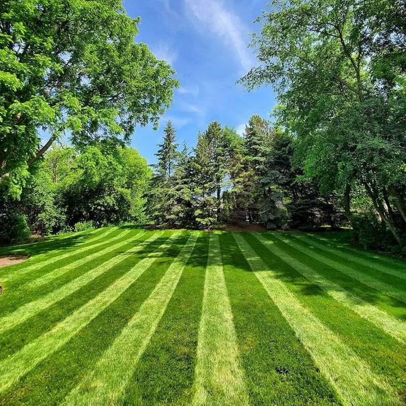 Keep The Lawn Strong Without Overwatering Keep The Lawn Strong Without Overwatering