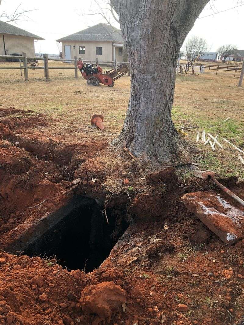 Keep Trees Off The Drain Field Keep Trees Off The Drain Field