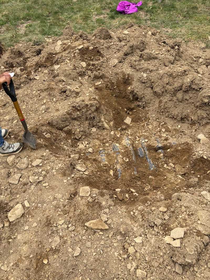 Keep Vegetable Beds Off The Field