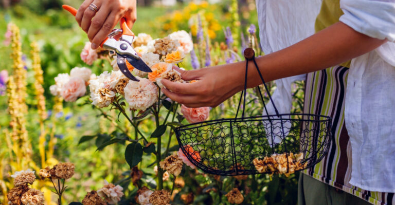 Keep Your Garden Blooming All Season With This Habit