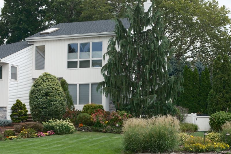 Keeping The Rest Of Your Yard Looking Intentional Alongside It