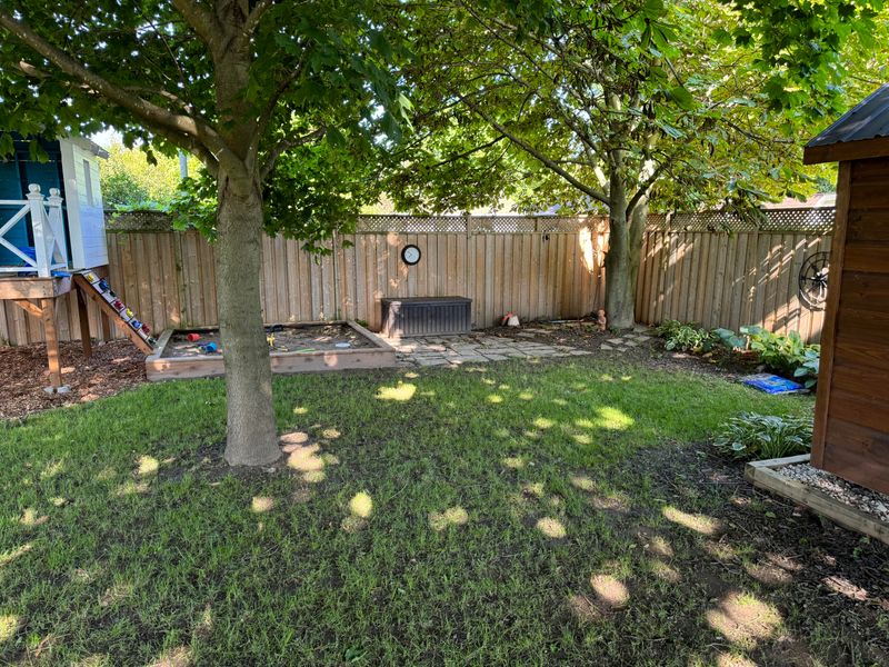 Keeping The Yard Too Shady And Damp Keeping The Yard Too Shady And Damp