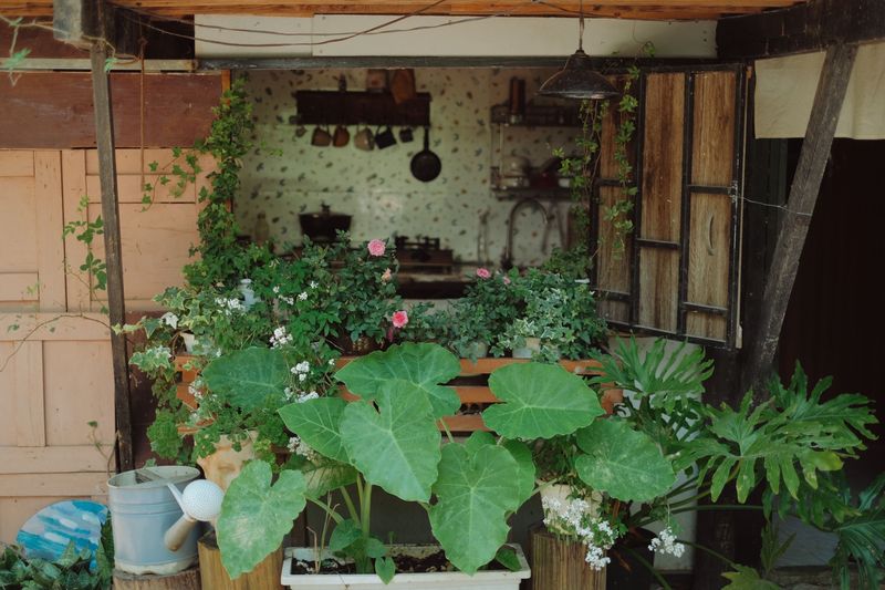 Kitchen Gardens Planted Close To The House