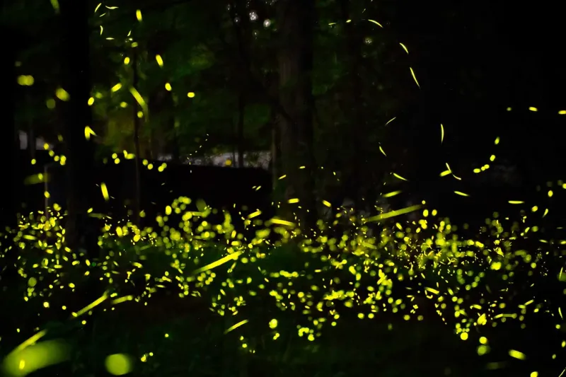Know More Flashes Do Not Mean More Magic