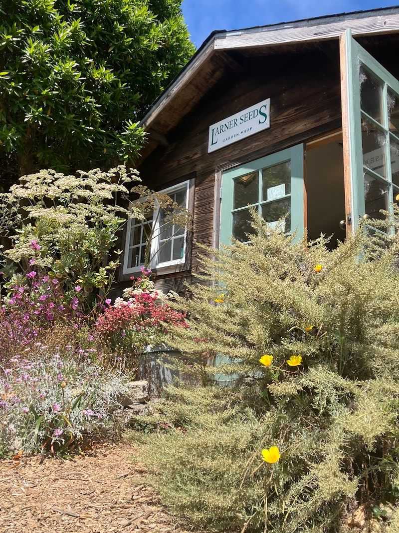 Larner Seeds — Bolinas Larner Seeds — Bolinas