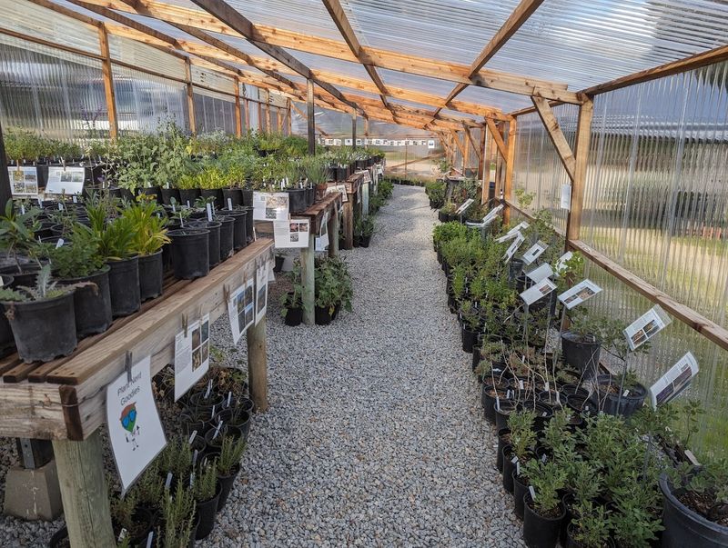 Las Pilitas Nursery — Santa Margarita, CA Las Pilitas Nursery — Santa Margarita, CA