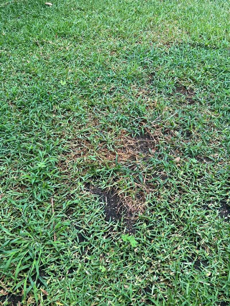 Late Summer Provides A Useful Michigan Repair Window
