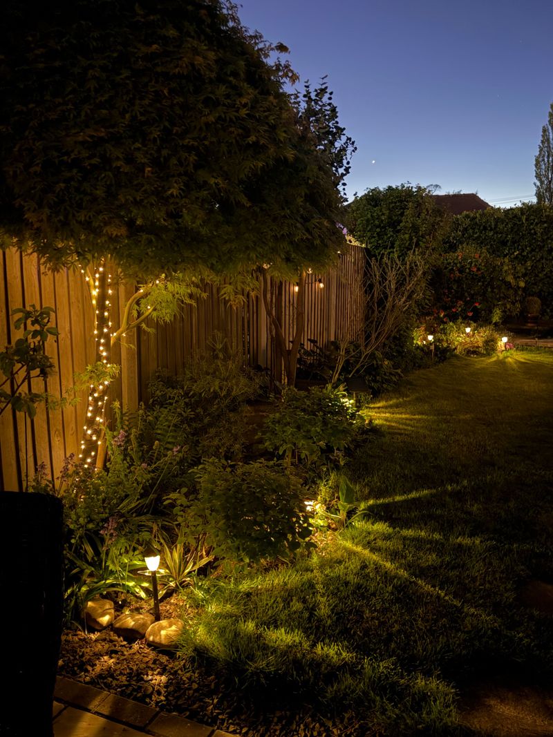 Layered Landscape Lighting Is Spreading Across Massachusetts Backyards