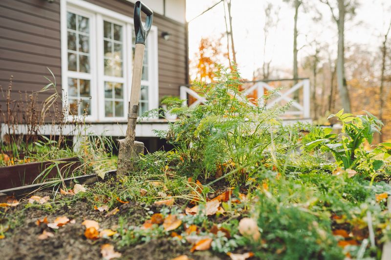 Leaf Drop Does Not Give You Extra Cutting Rights