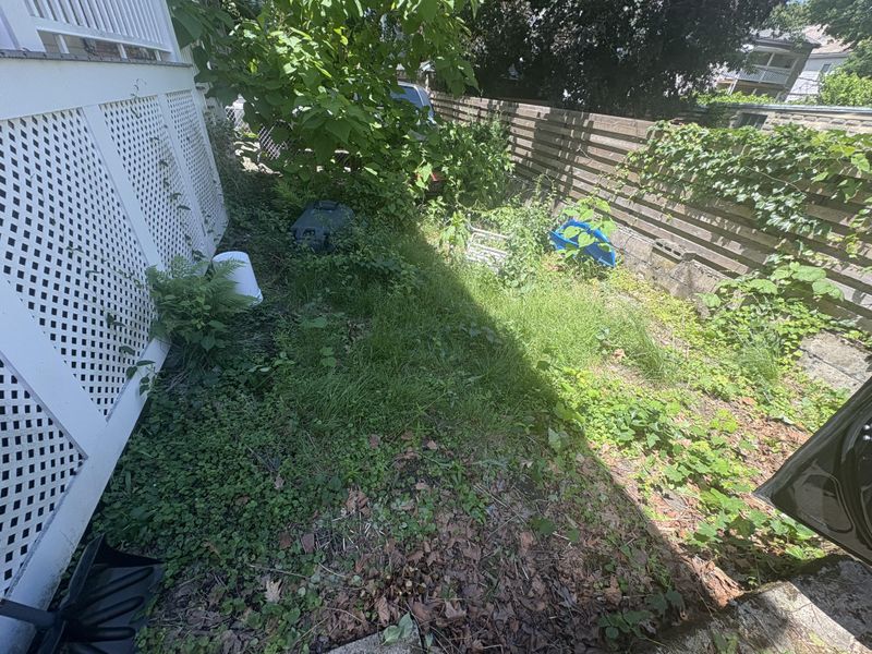 Leaf Litter And Cover May Be Missing Leaf Litter And Cover May Be Missing