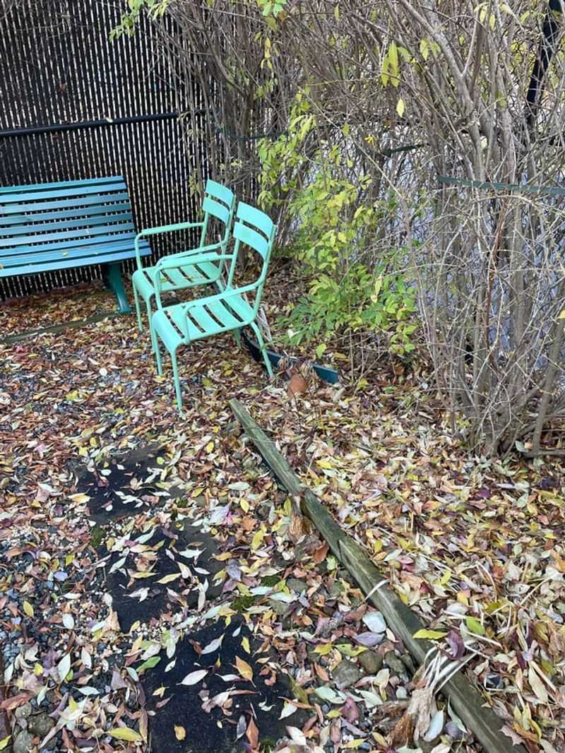 Leaf Litter Can Ruin A Mulch Barrier Leaf Litter Can Ruin A Mulch Barrier