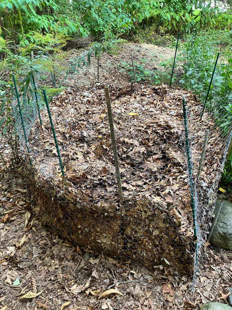 Leaf Mold Is The Amendment Leaf Mold Is The Amendment