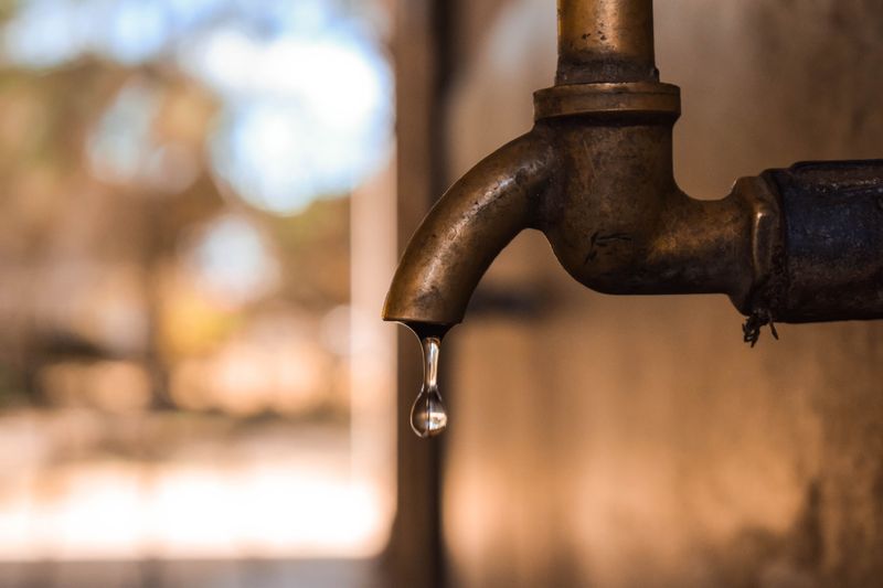Leaky Hoses, Faucets, And Irrigation Lines Leaky Hoses, Faucets, And Irrigation Lines