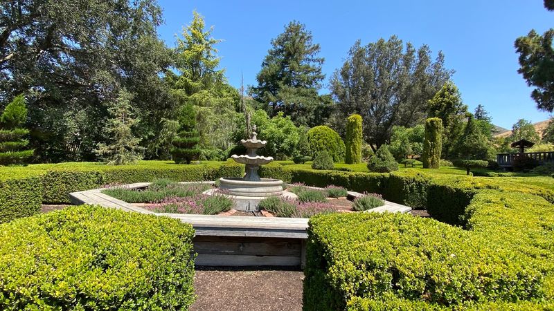 Leaning Pine Arboretum Brings Dry-Garden Beauty To San Luis Obispo