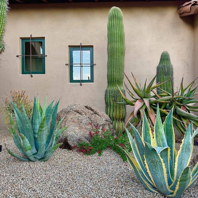 Leave Enough Space Between Plants And The Wall