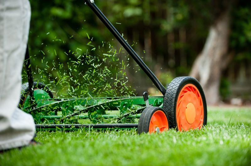 Leave Grass Clippings On The Lawn Leave Grass Clippings On The Lawn