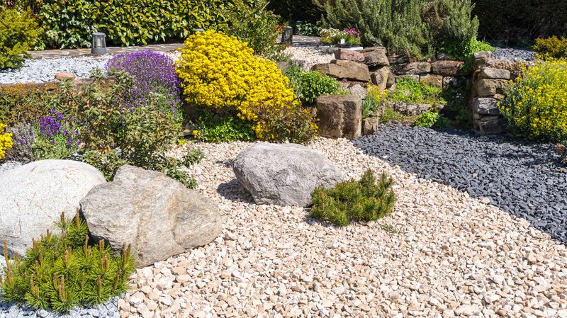 Leave Natural Ground Cover In Place Leave Natural Ground Cover In Place