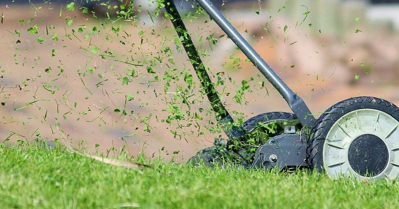 Leave Small Clippings To Feed The Soil Leave Small Clippings To Feed The Soil