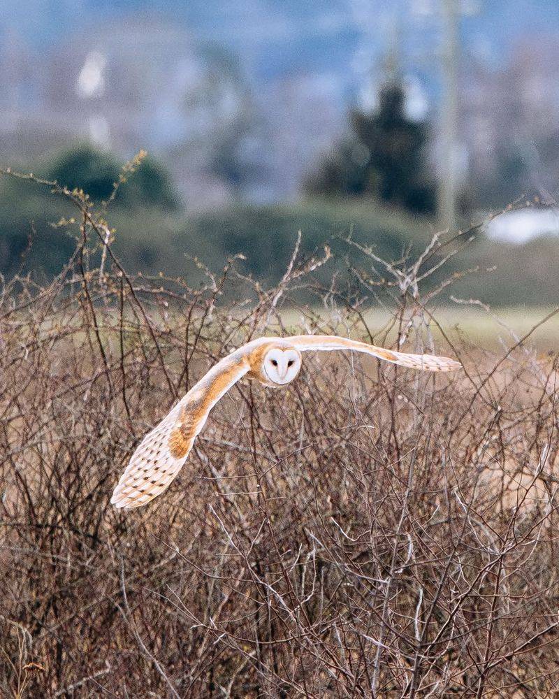 Leave Some Open Ground For Hunting