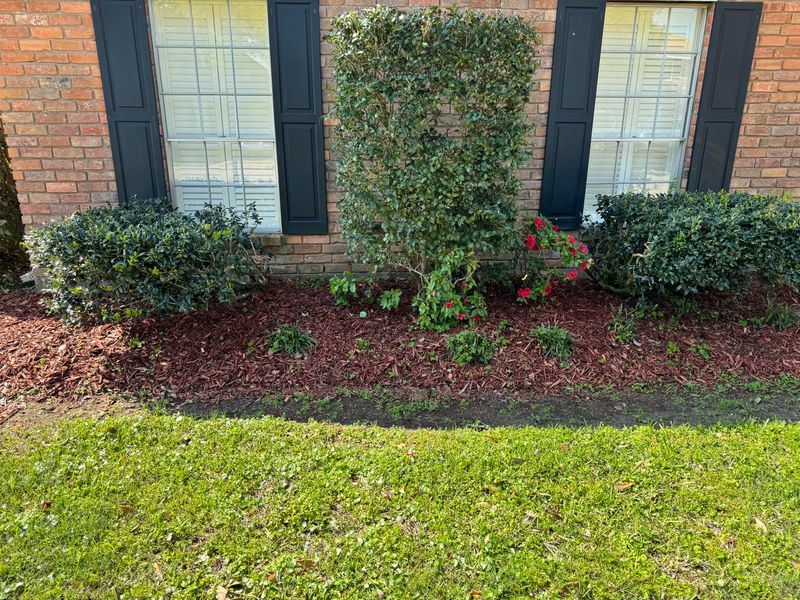 Leave Space Between Barriers And Plants