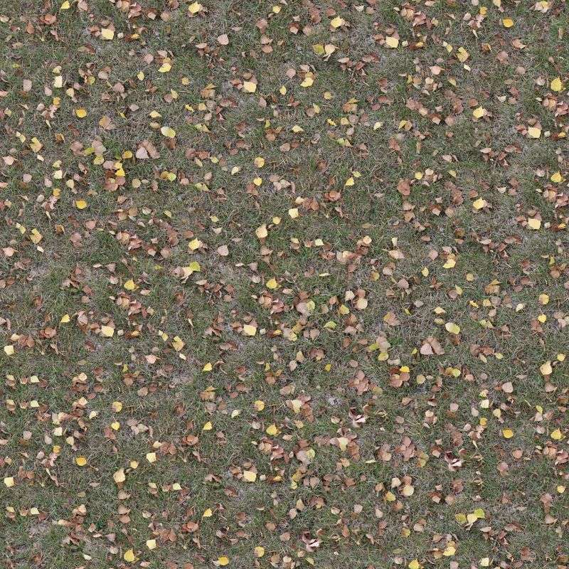 Leaves Left On The Lawn Can Block Grass Growth Leaves Left On The Lawn Can Block Grass Growth