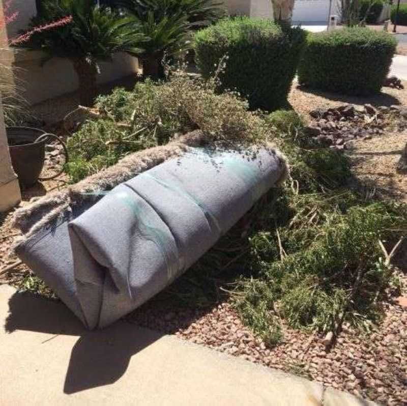 Leaving Brush And Yard Debris In Place