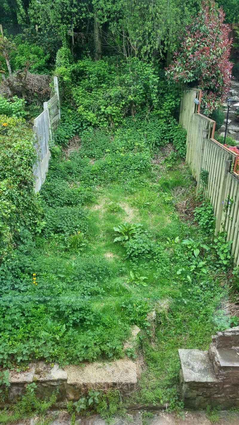 Leaving Garden Paths Narrow And Overgrown Leaving Garden Paths Narrow And Overgrown